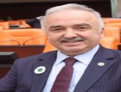 GİRESUN'DA FINDIK ÇARŞISI YAPILACAK