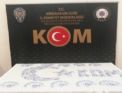 GRESUNDA SAHTE PARA OPERASYONU
