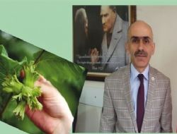 FINDIK RETCSNDE YEN ZARAR KORKUSU!