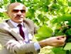 FINDIK RETCSNE 3 MART HATIRLATMASI